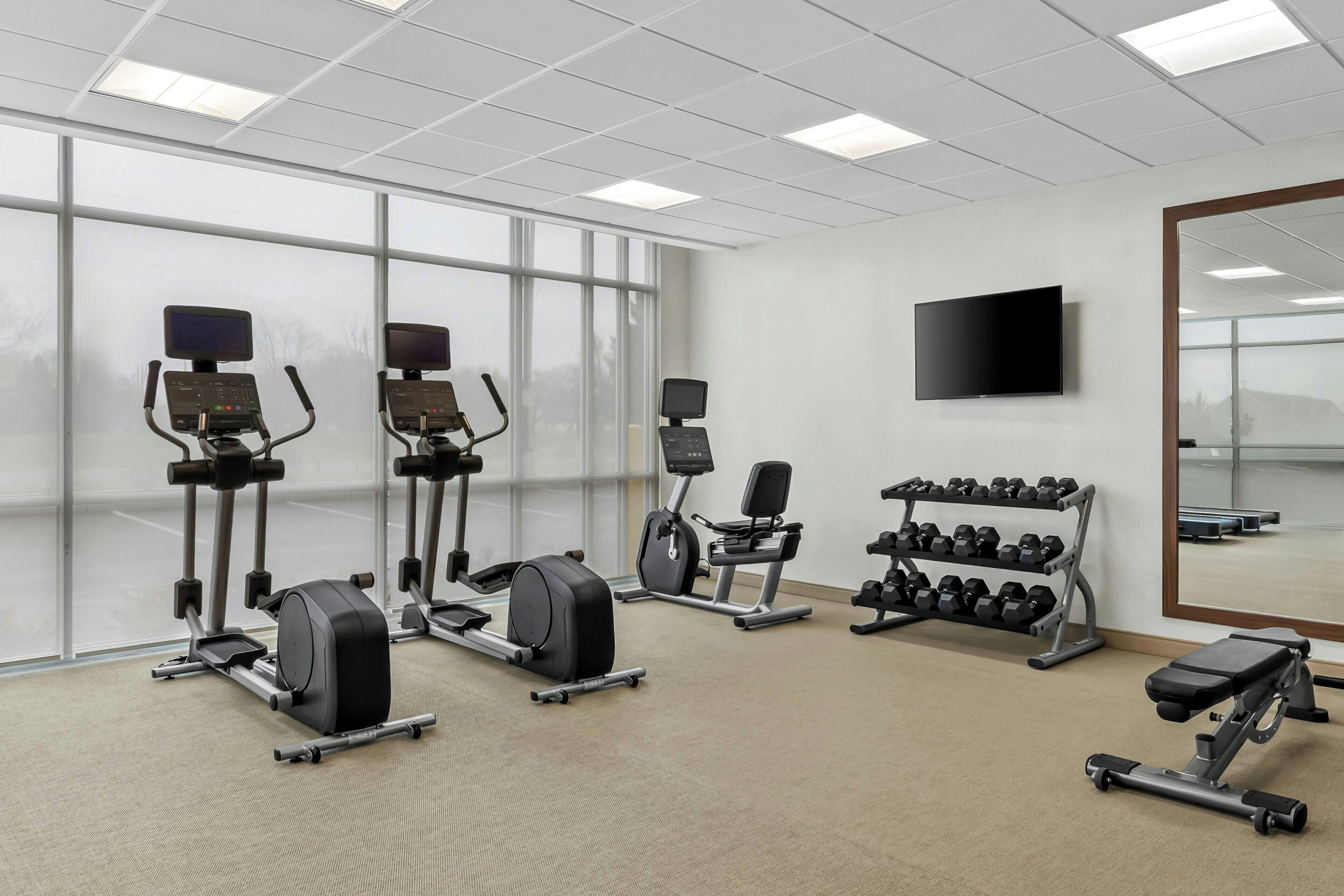 Une salle de sport équipée d’appareils de cardio, d’haltères et d’un téléviseur fixé au mur.