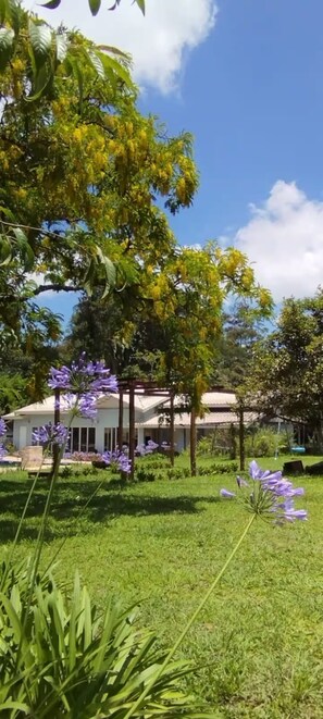 Área da propriedade