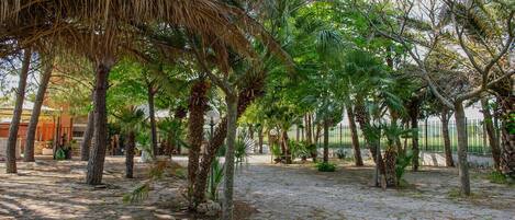 Enceinte de l’hébergement