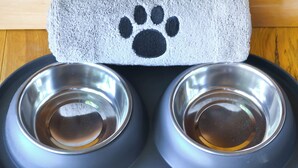 A pet feeding station with two stainless steel bowls and a grey towel with a black paw print. - 1 bedroom accommodation in Castle Douglas (Castle Douglas)