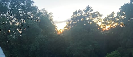 Terrain de lâhĂ©bergement
