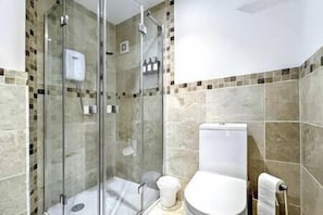 Bathroom features a glass-enclosed shower with handheld showerhead and wall-mounted controls, alongside a toilet with a tank and toilet paper holder.