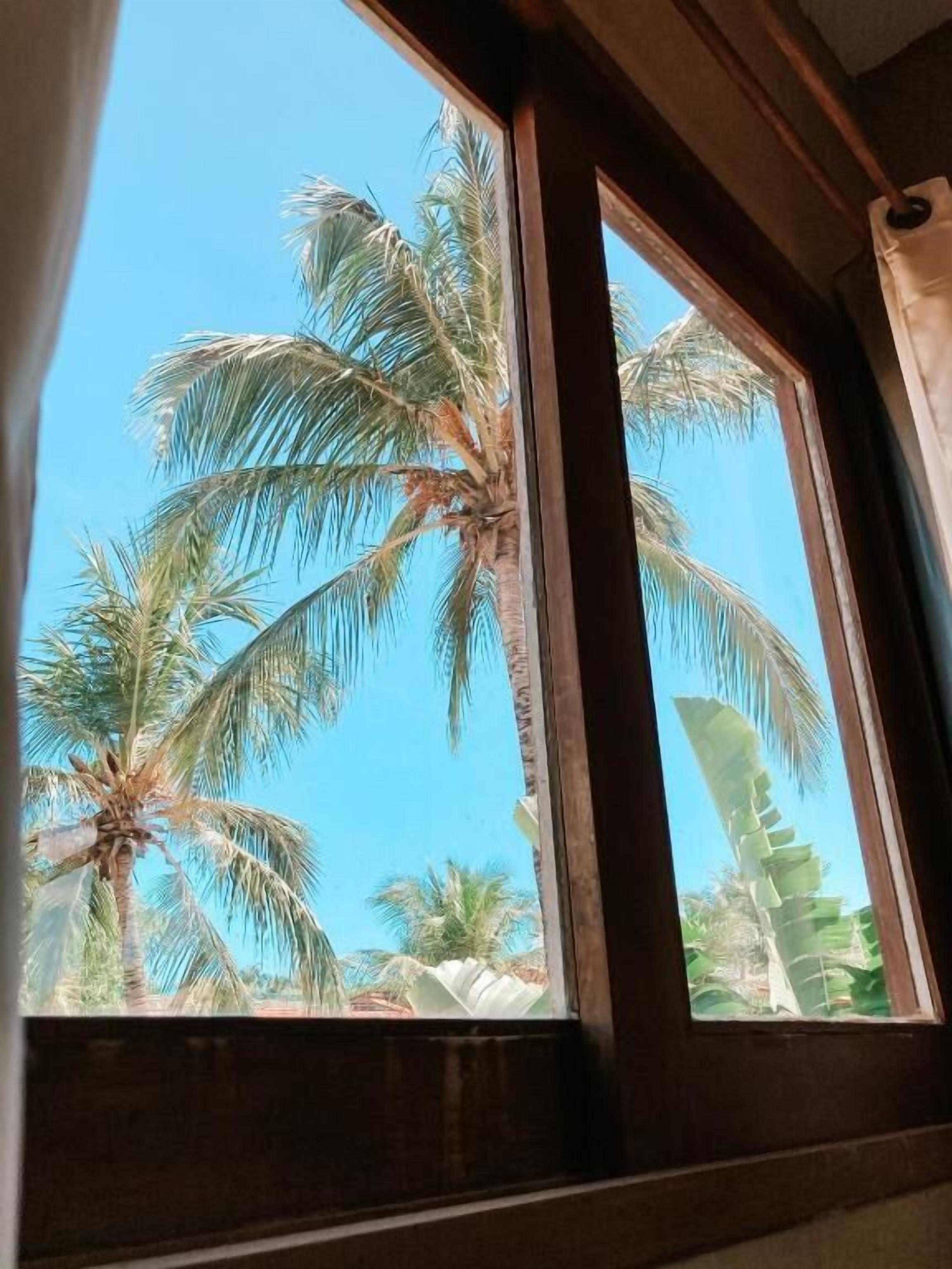 Triple Room | View from room