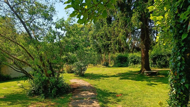 Un giardino con un vialetto in pietra, vegetazione lussureggiante e una panchina.