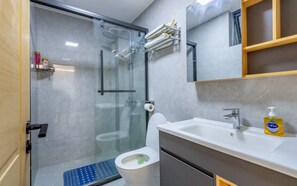 Shower, hair dryer, bidet, towels