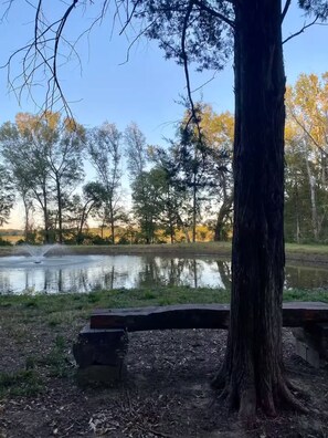 Terrain de l’hébergement 