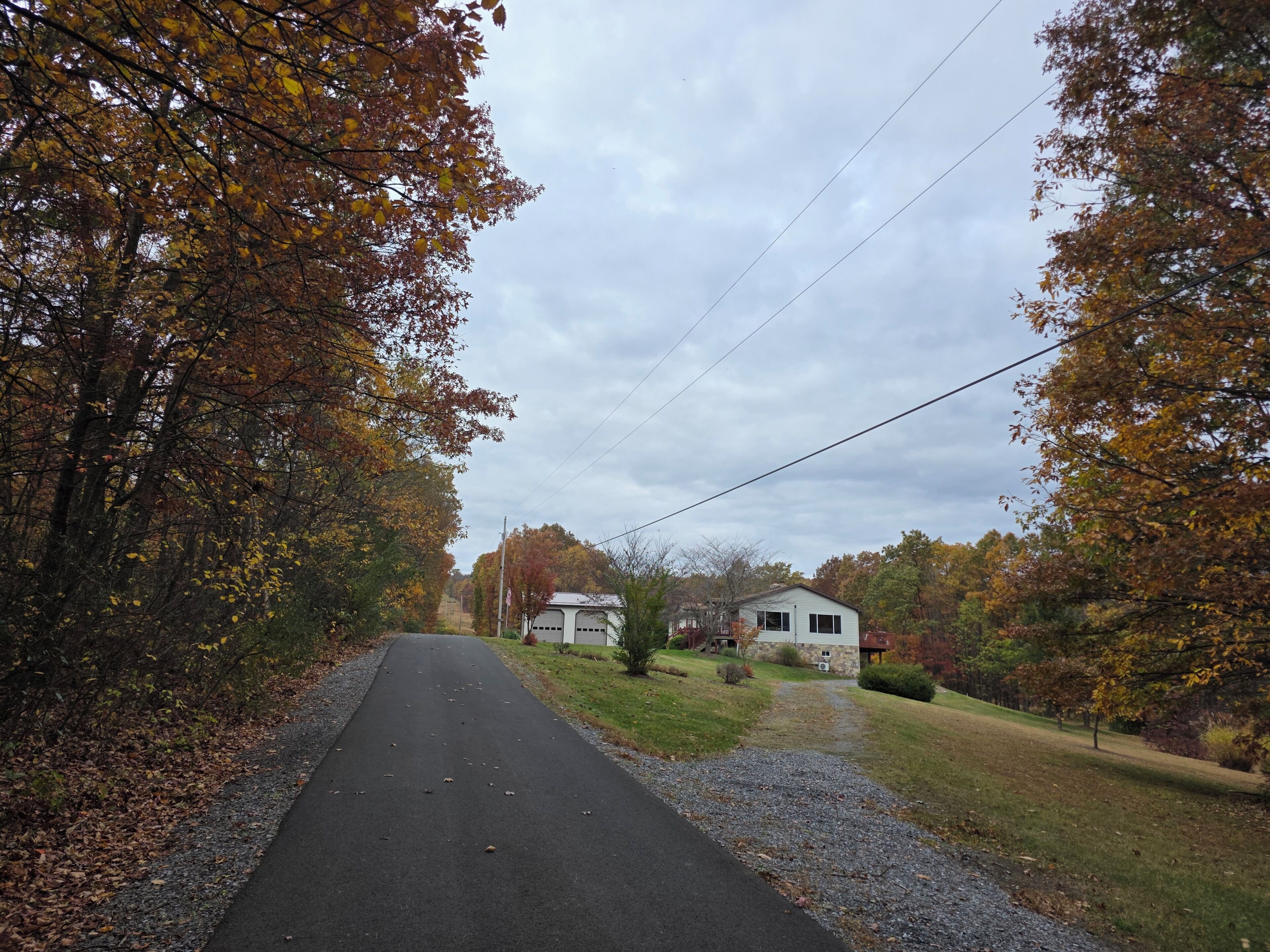 Eine ländliche Straße, gesäumt von Bäumen mit Herbstlaub, die zu einem Haus mit Garage und kleinem Rasen führt.
