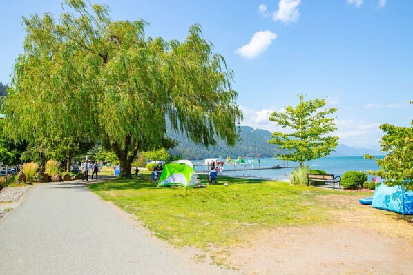 A lakeside park with a walking path, tents, and a bench.