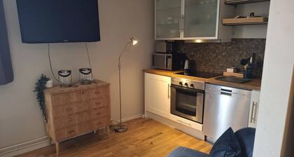 Small but cozy apartment in central Persaunet, parking space, private bathroom