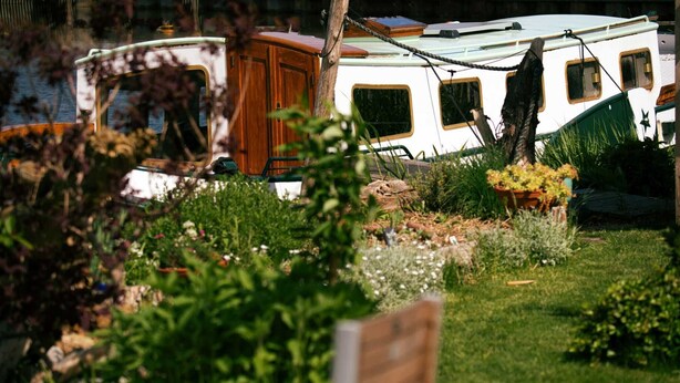 A white RV with a green roof parked in a garden with various plants and flowers. - Unique nature experience on the water, Bed in boat Jisperveld (Spijkerboor)