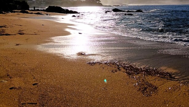 A beach with a clear sky, calm sea, and distant mountains.