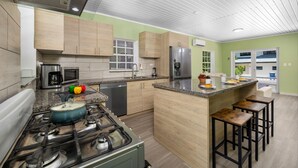 A modern kitchen with a gas stove, stainless steel appliances, wooden cabinets, and a granite countertop. - Casa Sol • Stylish 4 BR Villa with Private Pool (Noord)