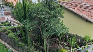Zona residencial con una mezcla de edificios modernos y tradicionales, un pequeño jardín con diversas plantas y un cuerpo de agua visible.