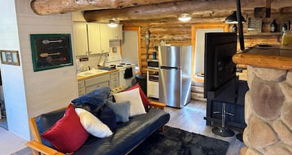 Modern Rustic authentic log cabin on Borden Lake.