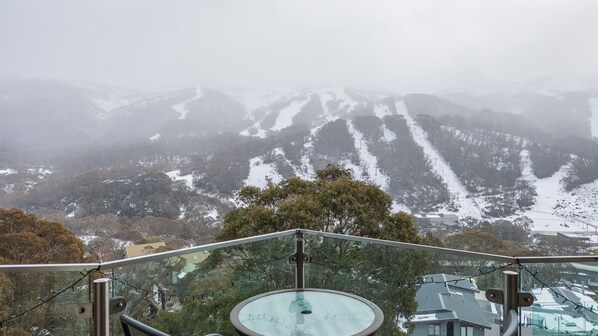 Outdoor spa tub - Lantern 20 Deluxe a beautifully designed Ski Cabin (Thredbo)