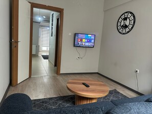 43-inch flat-screen TV with satellite channels