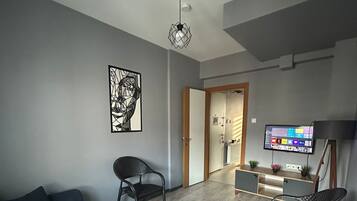 43-inch flat-screen TV with satellite channels