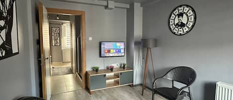 43-inch flat-screen TV with satellite channels