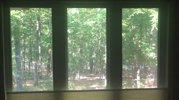 A window with a view of a forest.