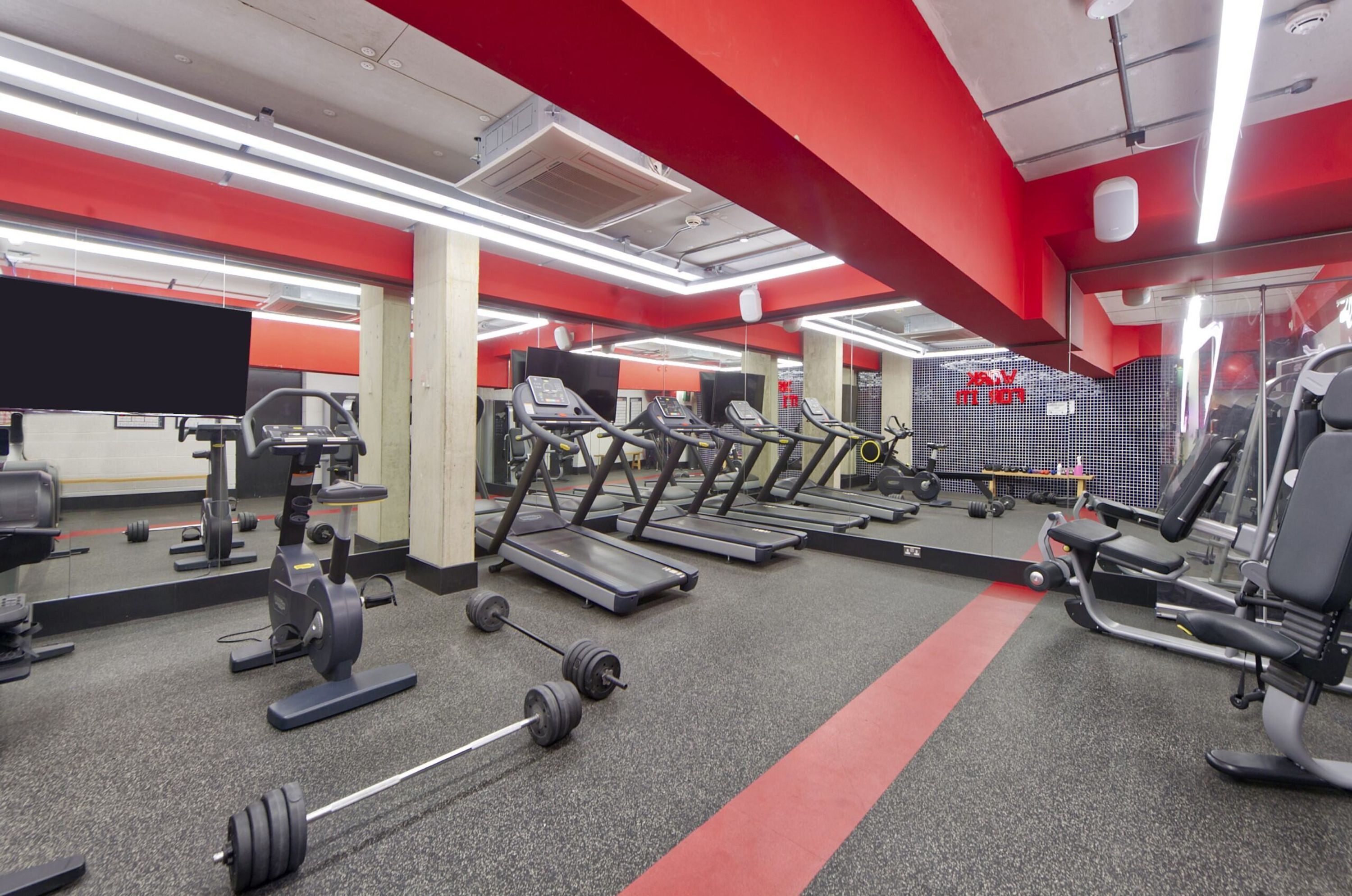 A gym with treadmills, weight benches, and free weights.