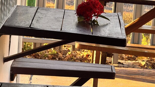 A wooden outdoor table with a flower on it, set against a railing with a view of a garden. - EL REY MOTEL & RESTAURANT (Belmopan)