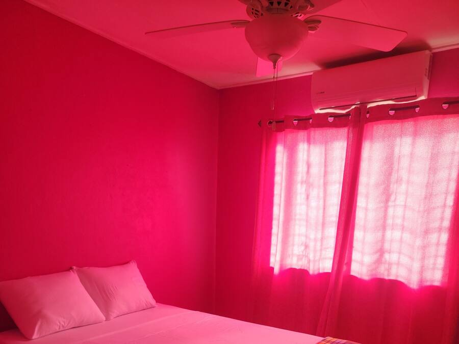 Cortinas blackout y wifi gratis