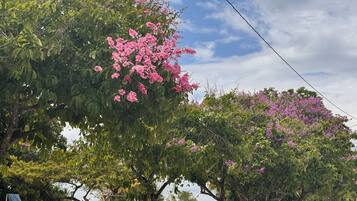 Un árbol con flores rosadas, un conjunto de columpios y un coche estacionado cerca.