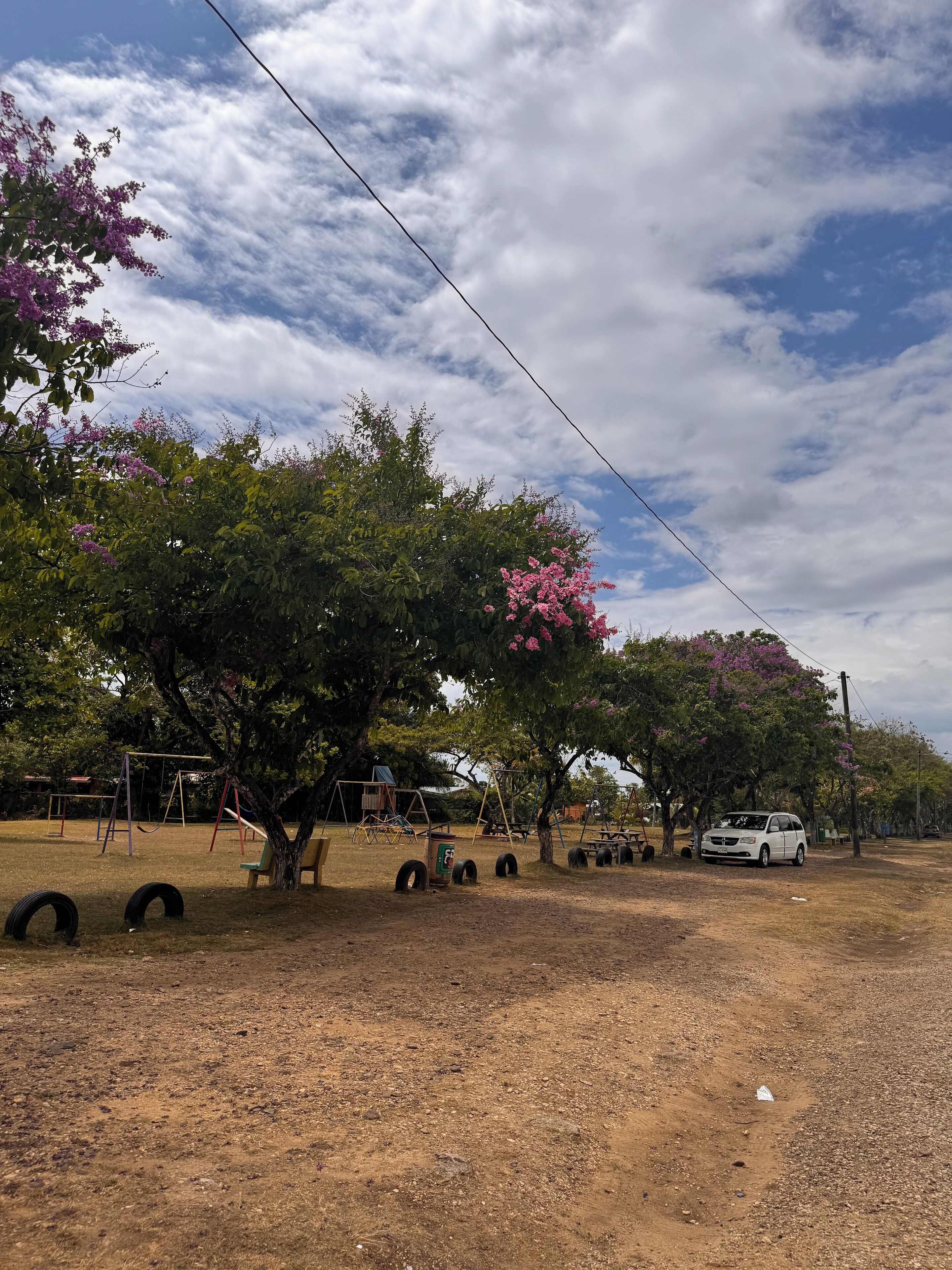 Un parque infantil con columpios y un neumático colgante, rodeado de árboles con flores rosadas.
