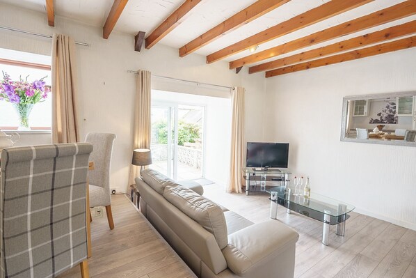 TV - Drumlanrig Cottage -  a cottage that sleeps 4 guests in 2 bedrooms (Thornhill)