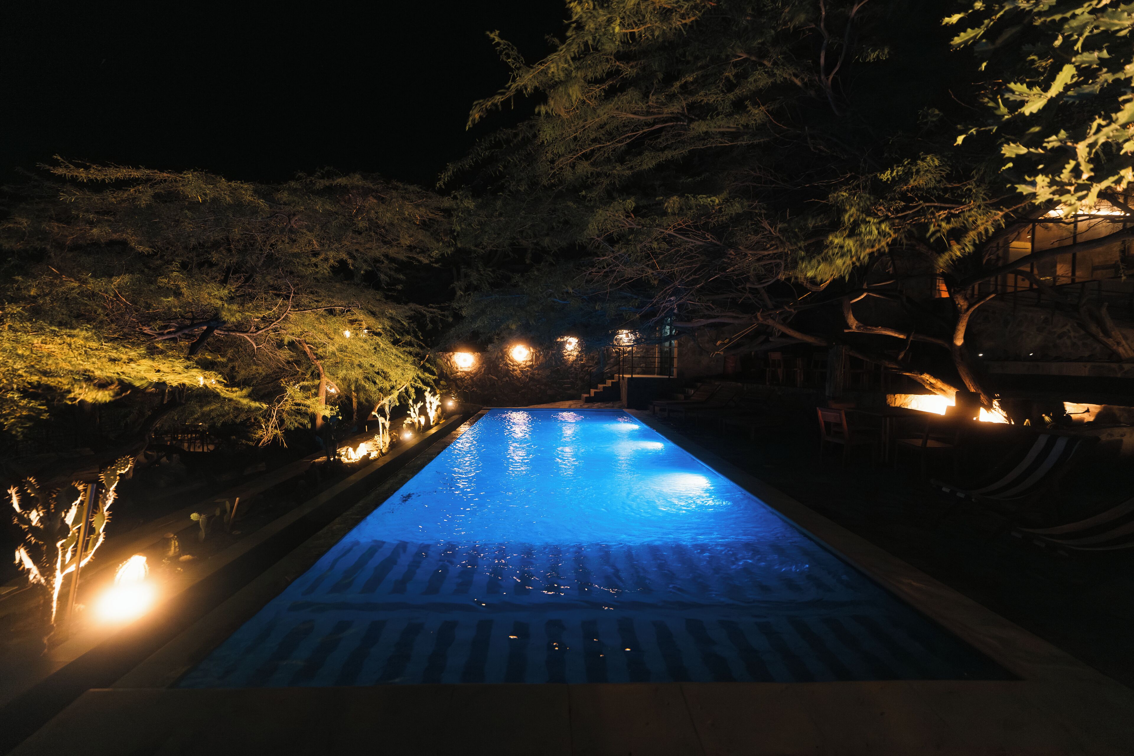 A swimming pool at night with surrounding trees and lights.