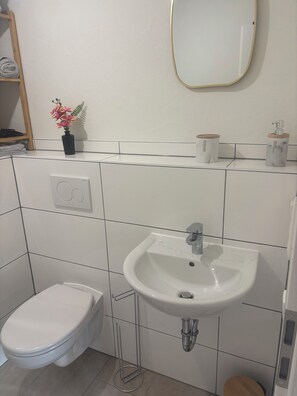 Hair dryer, towels, soap, toilet paper - Cozy apartment directly on the Rhine (Wiesbaden)