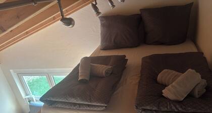 Cozy apartment directly on the Rhine