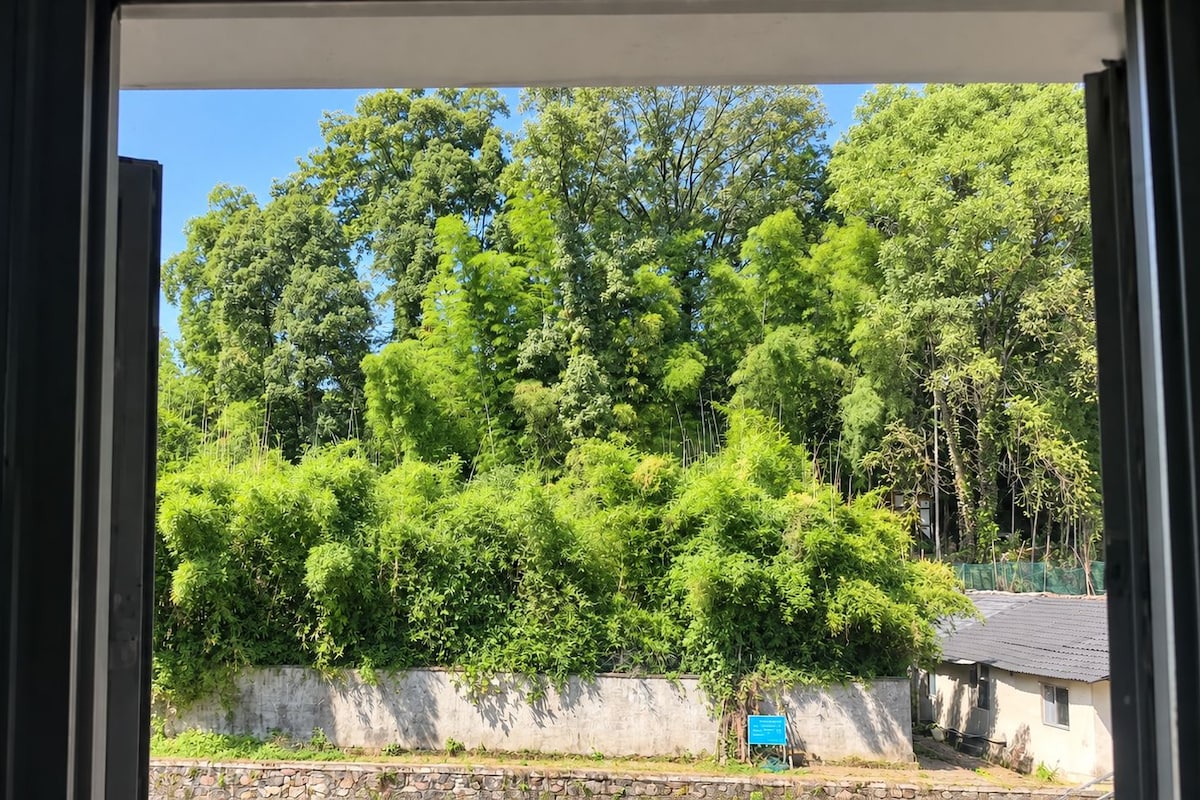 Udsigt gennem et vindue, hvor man kan se en betonmur og et tæt, grønt område.