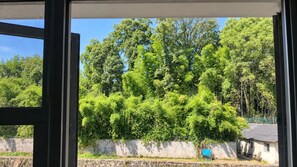 Vista a través de una ventana que muestra un muro de concreto y una zona verde densa.