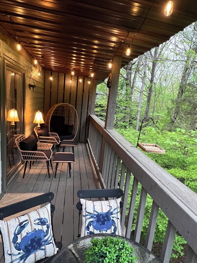 The Eagle's Nest & Bird Watching
