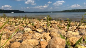Eine felsige Küstenlinie mit vereinzelter Vegetation und ein ruhiger See im Hintergrund.