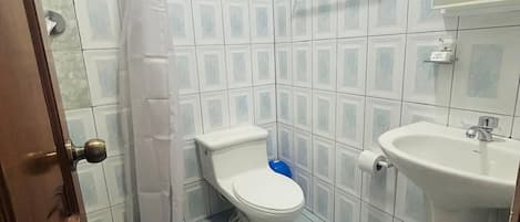 A bathroom with a toilet, sink, and shower.