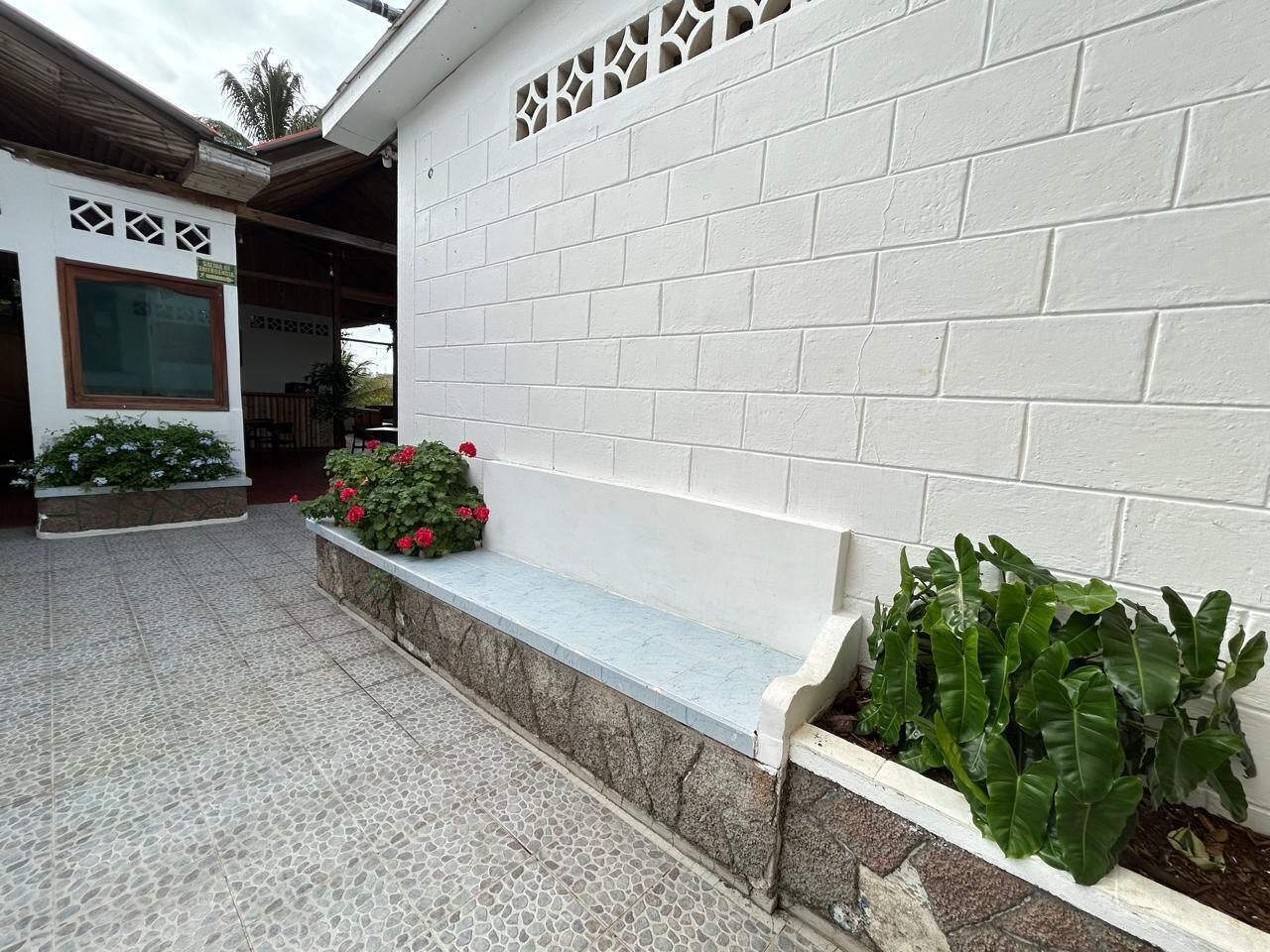 A courtyard with a white brick wall, a stone bench, and potted plants.