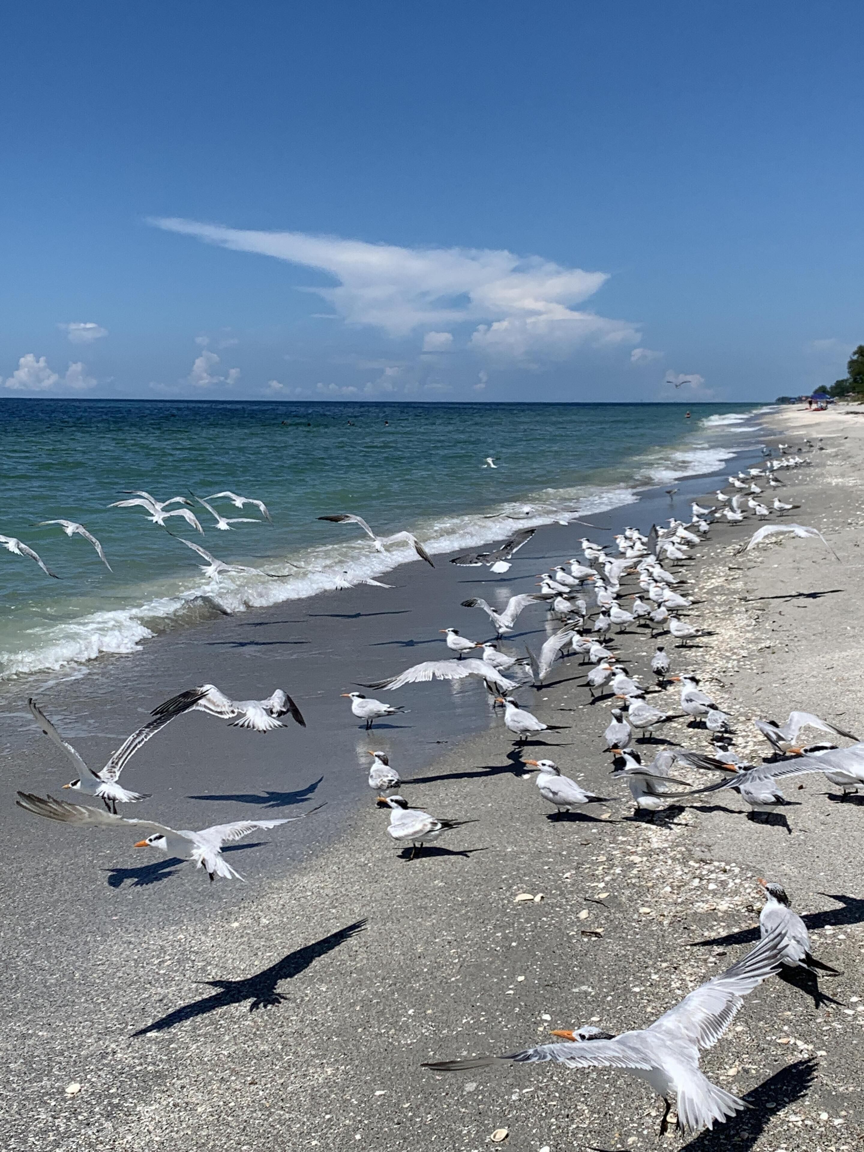 靠近海滩