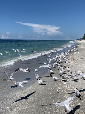 In Strandnähe