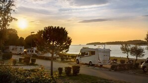 Un camping con vehículos recreativos estacionados cerca de un cuerpo de agua, rodeado de árboles y arbustos.