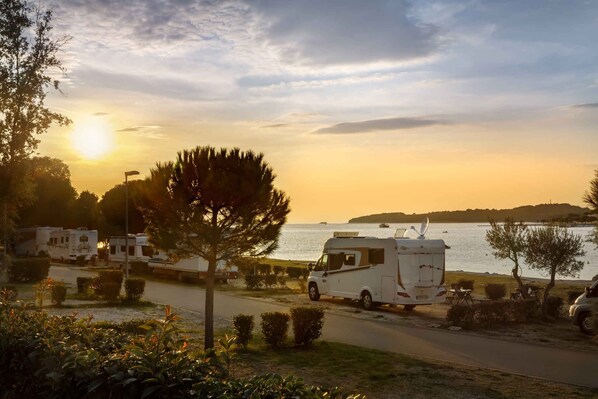 A campsite with RVs parked by the water, surrounded by trees and shrubs.