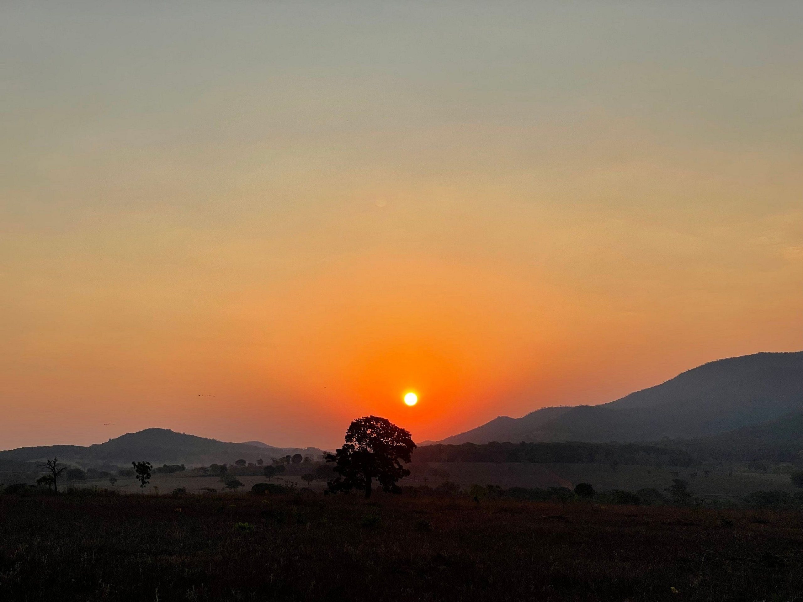 A sunset over a hilly landscape with a prominent tree silhouette.