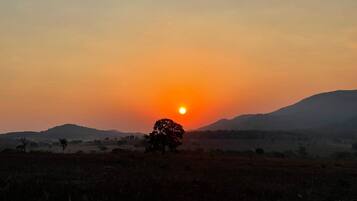 A sunset over a hilly landscape with a prominent tree silhouette.