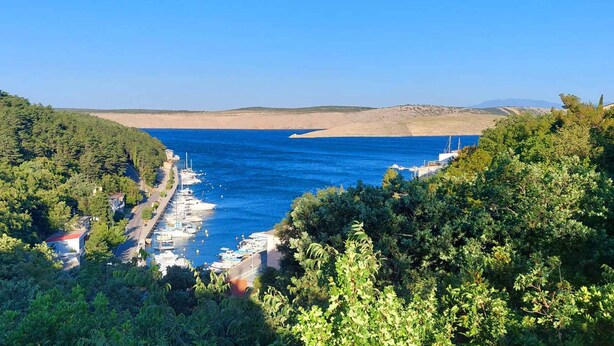 A coastal marina with boats docked, surrounded by dense greenery and a clear blue sky.