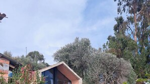 Una casa pequeña de un solo piso con techo inclinado, un balcón con una silla y un jardín con diversas plantas y flores.