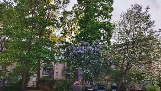 Un parc avec une statue, un barbecue et un banc.