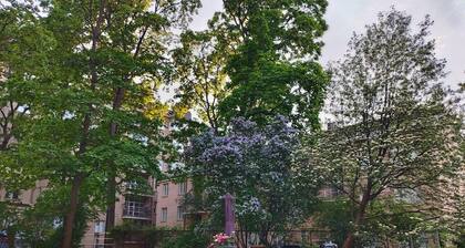 Beauty in great location