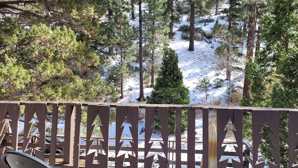 A deck with a view of a snowy forest. - Charming 2-bdrm cabin in Fawnskin, with Wifi & just a 5 minute walk to the lake (Fawnskin)