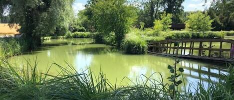 Àrea exterior de l'allotjament